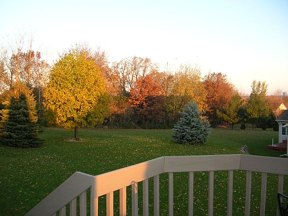 Back Yard From Deck