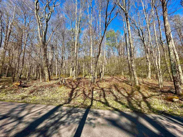 Redwood Dr, Terra Alta, WV 26764