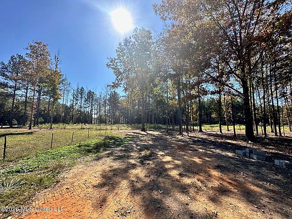 2nd image of Swamp Rd