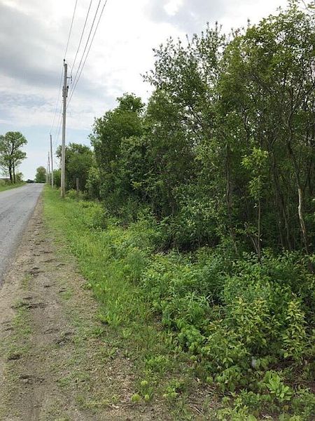 5th image of 460 Town Line Road