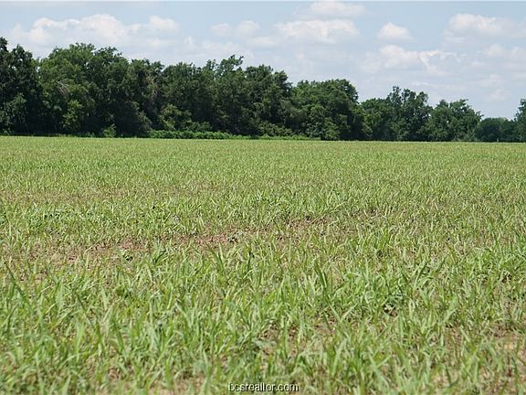 4th image of 5015 County Road 377