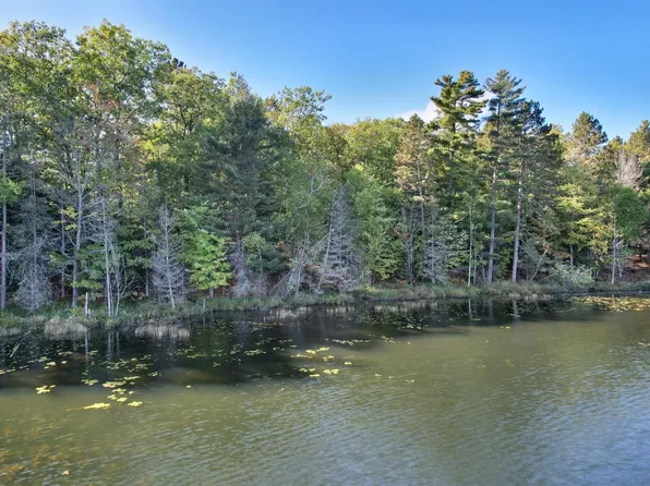 On Boygan Lake Rd, Land O Lakes, WI 54540