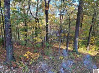 75 Hancock Dr LOT 229-230-U1, Gilbertsville, KY 42044