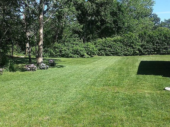 post new lawn and sprinkler