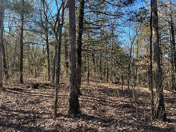 2nd image of 000 County Road 905