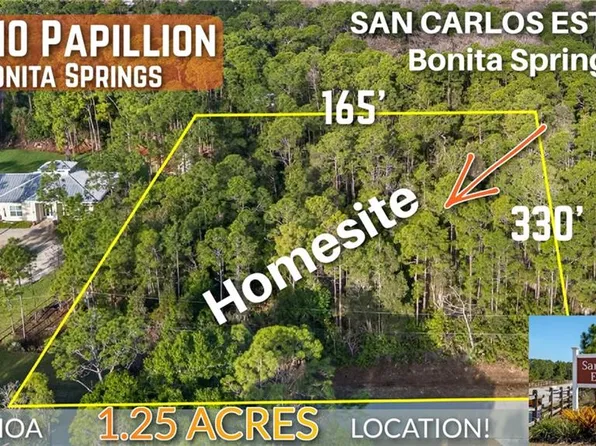 25210 Papillion DR, BONITA SPRINGS, FL 34135