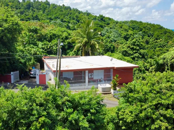 1.5 Zarzal Carr #3, Rio Grande, PR 00745