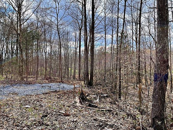 4th image of LOT 3 County Road 186