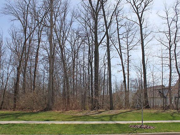 3rd image of 345 Restoration Dr