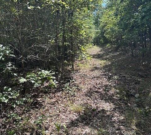 2nd image of 0 Ross Hollow Rd