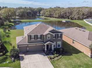 807 Bronze Bush Ct, Plant City, FL 33566