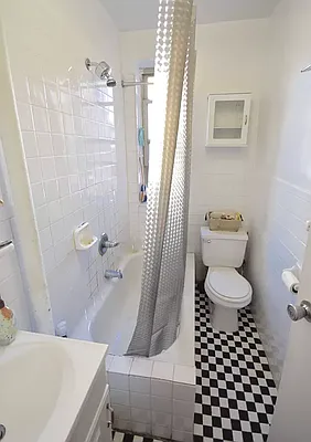 Rented by Roselyn  Fortuna LLC | media 13