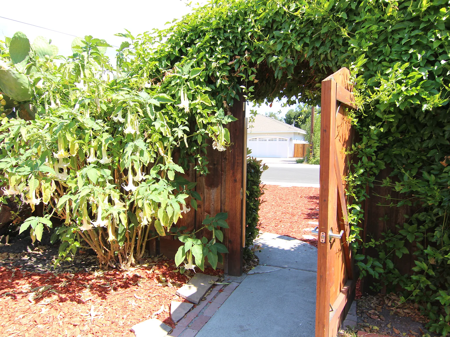 Burgoyne St, Mountain View — Photo 1