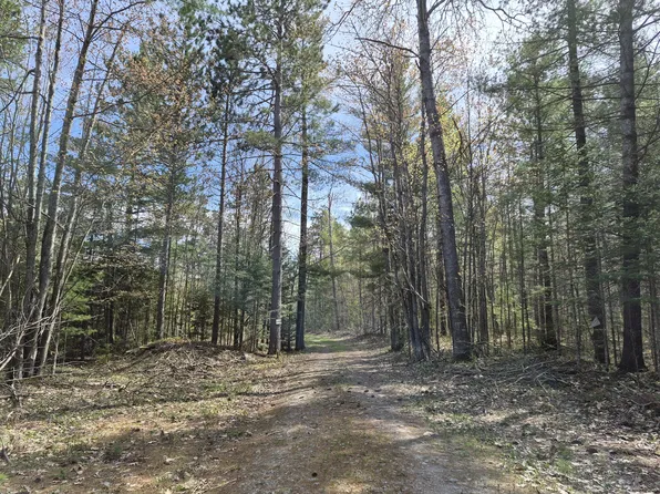 Par 13c Ocqueoc Lake Rd, Millersburg, MI 49759