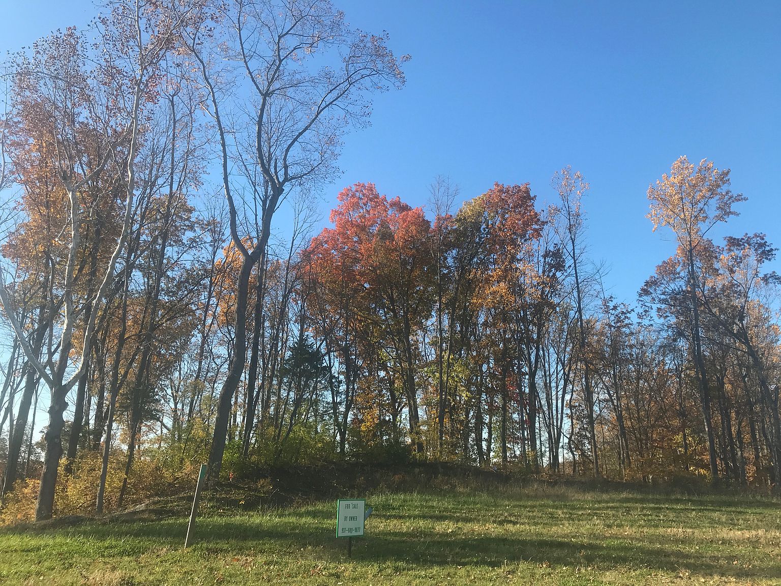 3622 River Birch Dr, Bellbrook, OH 45305 Zillow