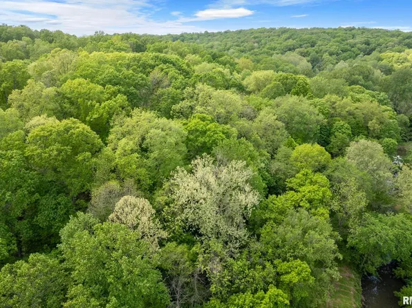 0000 Bowman Bottoms, Tunnel Hill, IL 62972