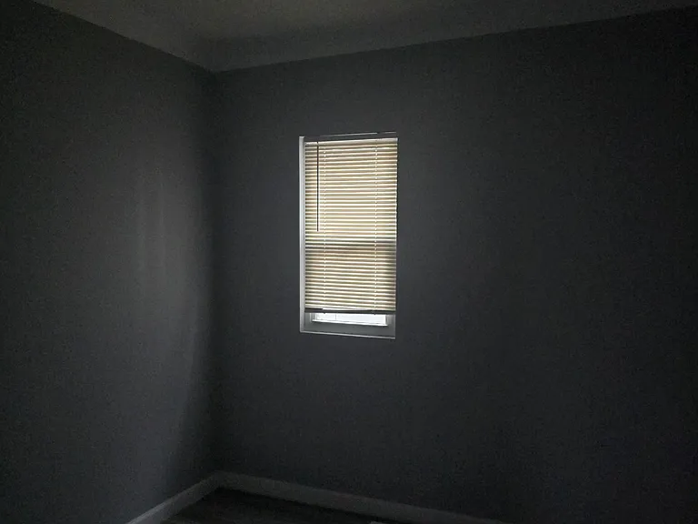 3776 Belvidere St #1 — Photo 6