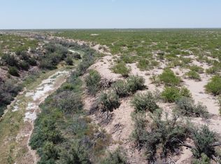 0 County Road 390, Grandfalls, TX 79742