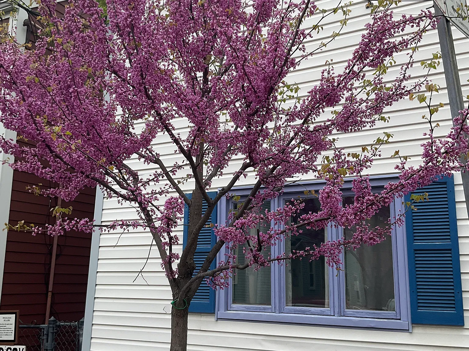 1 bed, 9999 sqft, $2,100 — Photo 3