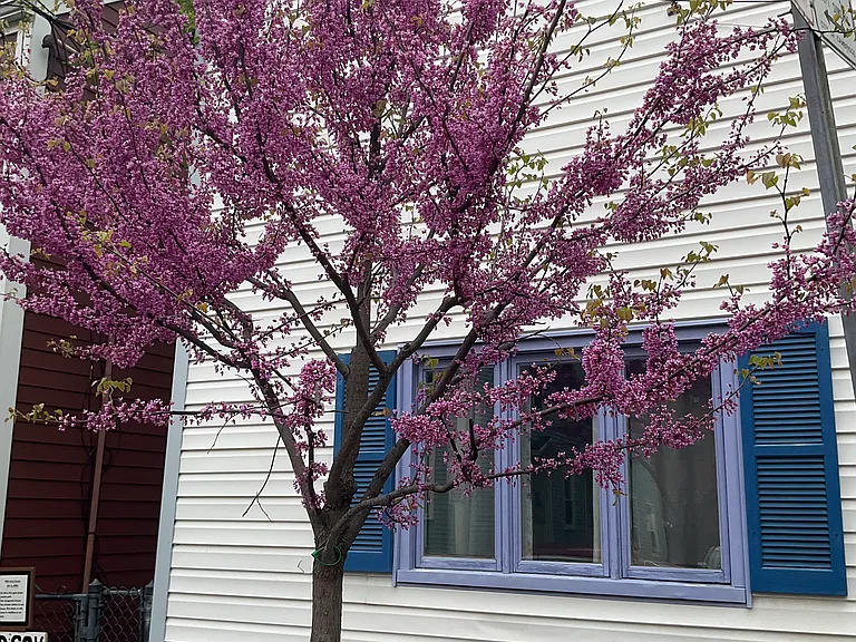 67 Gore St #2 — Photo 3