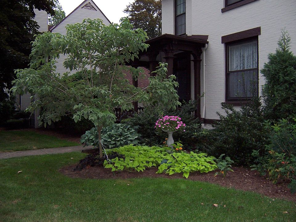 Front Garden
