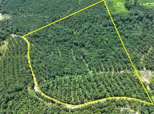 Slim Palmer Rd, Zavalla, TX 75980