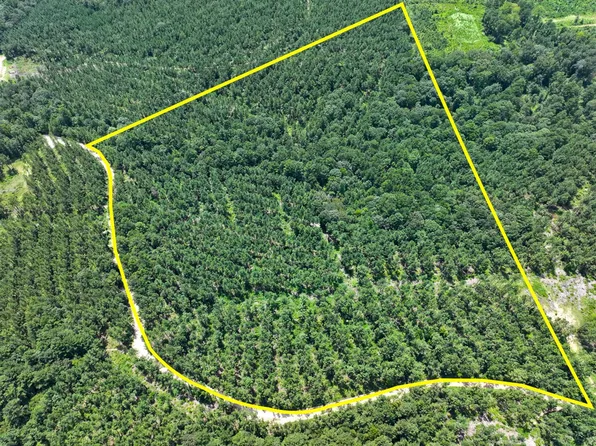 Slim Palmer Rd, Zavalla, TX 75980