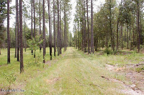 5th image of 4221 NE County Road 219a