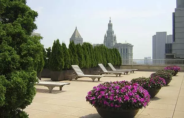 Rented by Manhattan Realty Group | media 20