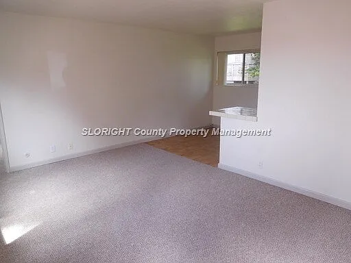 427 Norfolk St — Photo 6