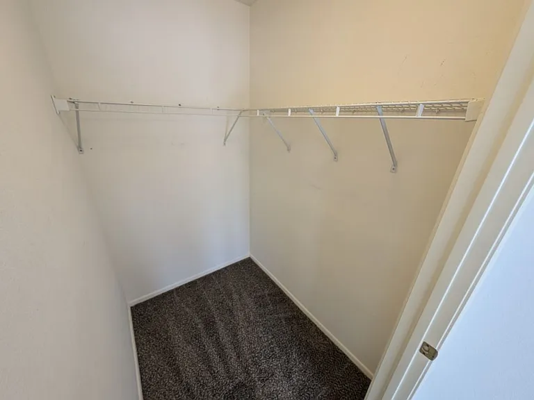 10113 Crescent Creek Dr — Photo 23