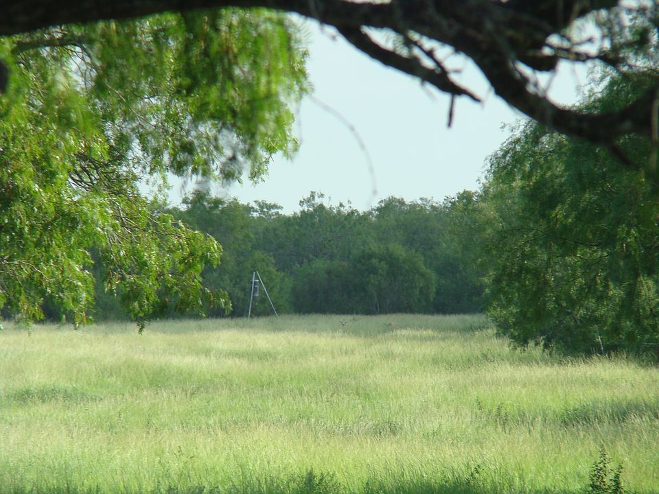 1st image of 17390 Fm 3089