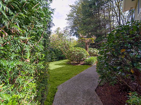 3rd image of 10005 Forbes Creek Dr