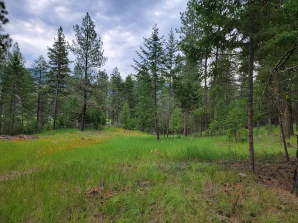 40 Evergreen Dr, Curlew, WA 99118