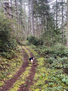 Highway 101n, North Bend, OR, 97459