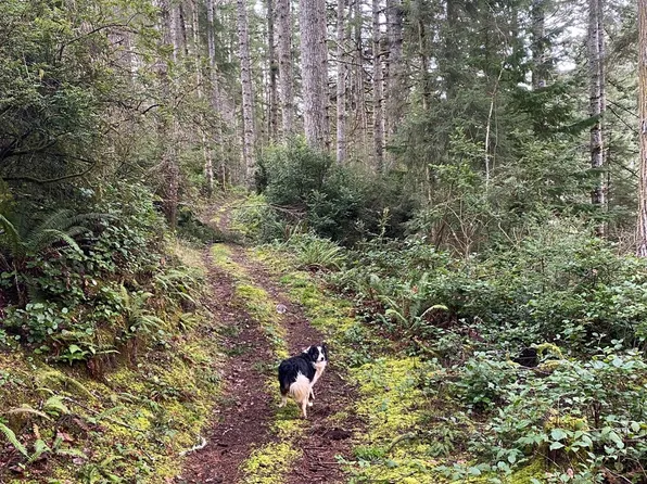 Highway 101n, North Bend, OR 97459