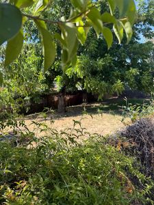 115 Fig St, Roseville, CA, 95678