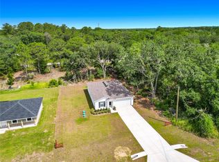 50 Bay Rd, Ocklawaha, FL 32179