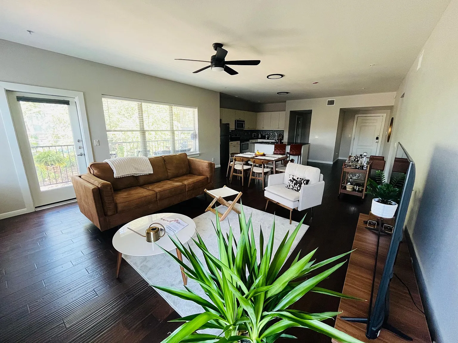 Living room - entrance view
