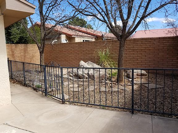 Backyard, 2 Pecan Trees