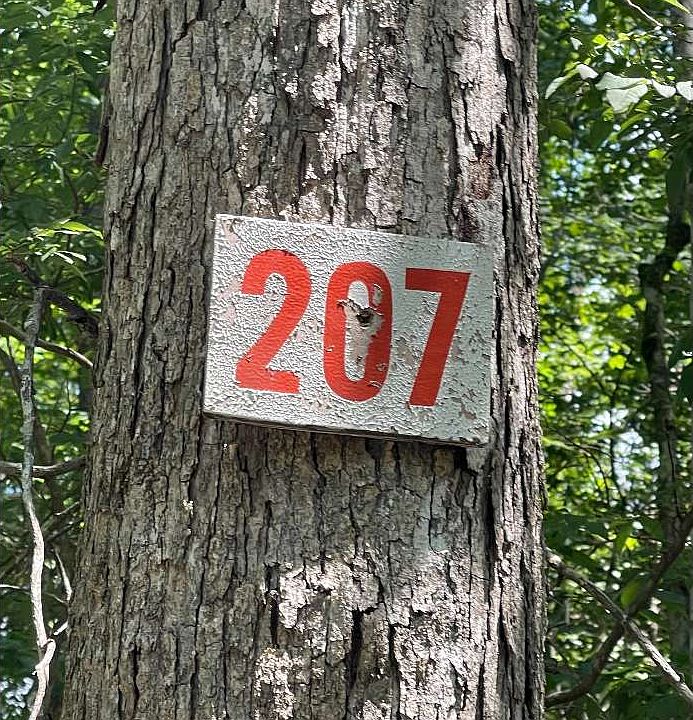 2nd image of 0 Boulder Creek Rd