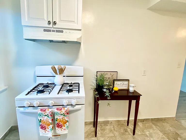 Gas stove