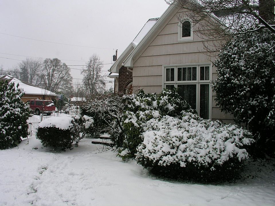 2006