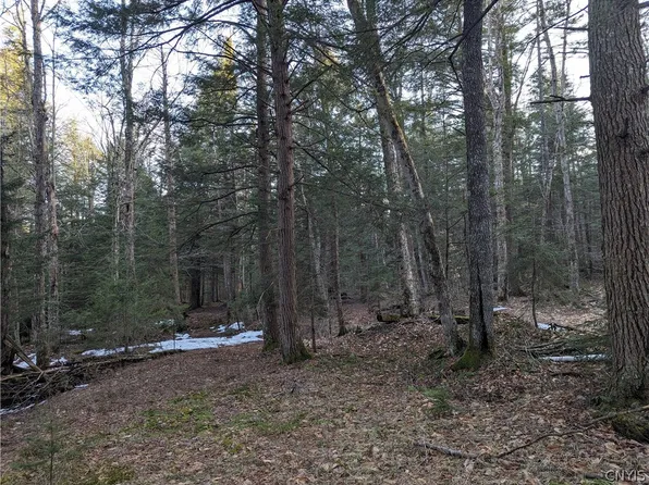 9304 Bear Hollow Rd #19, Lowville, NY 13367