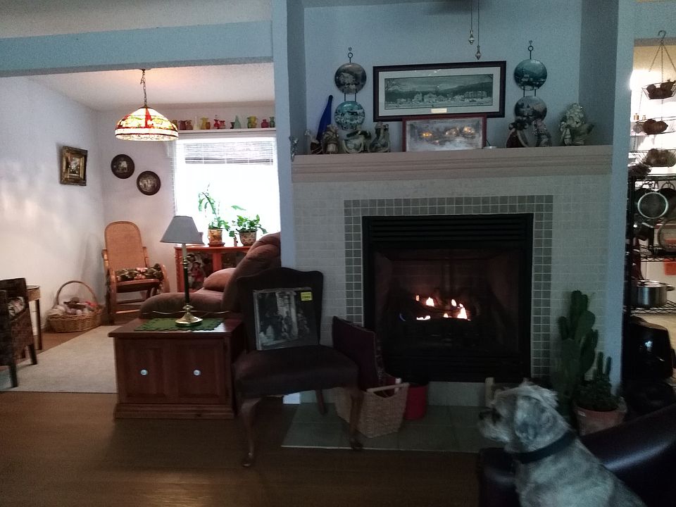 Fireplace in living room.