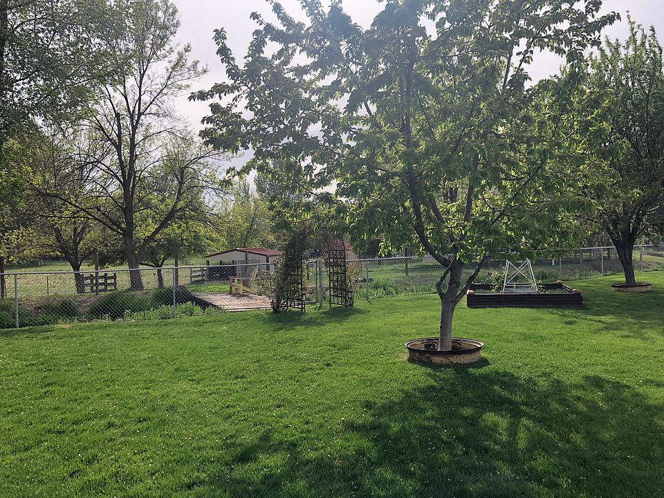 Backyard with view of surrounding open fields. Plum tree and cherrie tree.