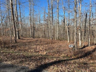 4 Slaughter Rd Lot 4, Primm Springs, TN, 38476