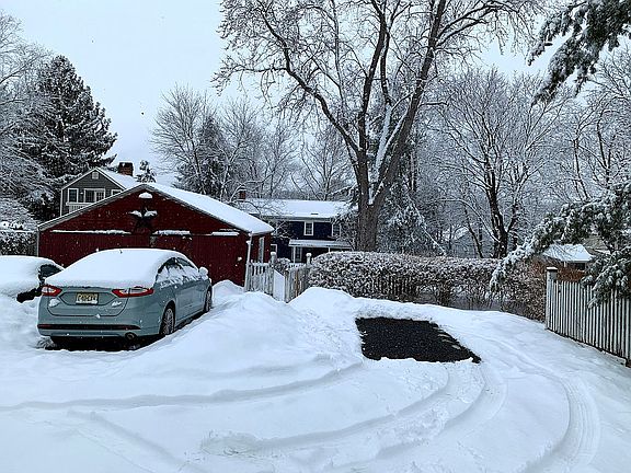 Rear Driveway and Yard