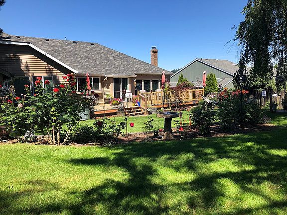 Back yard