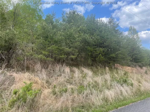 28 Levi Ln, Winfield, WV 25213